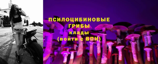 винт Балахна