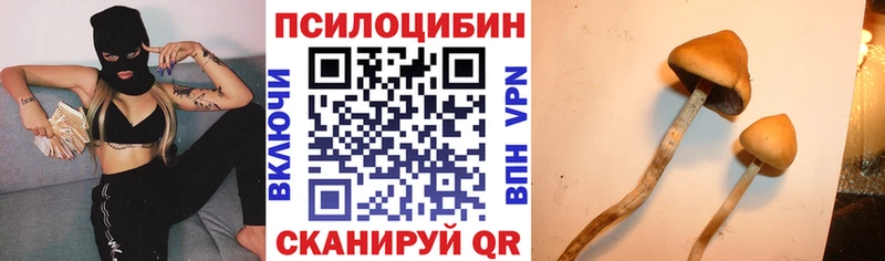 как найти   Волчанск  hydra ONION  Псилоцибиновые грибы Psilocybine cubensis 